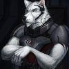 Wolf27