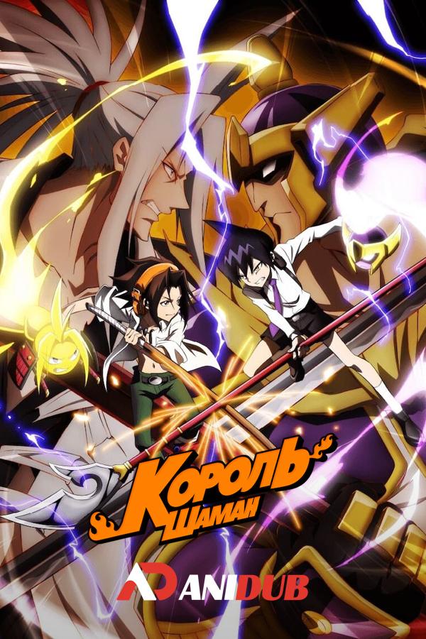 Король шаман / SHAMAN KING [44 из 52]