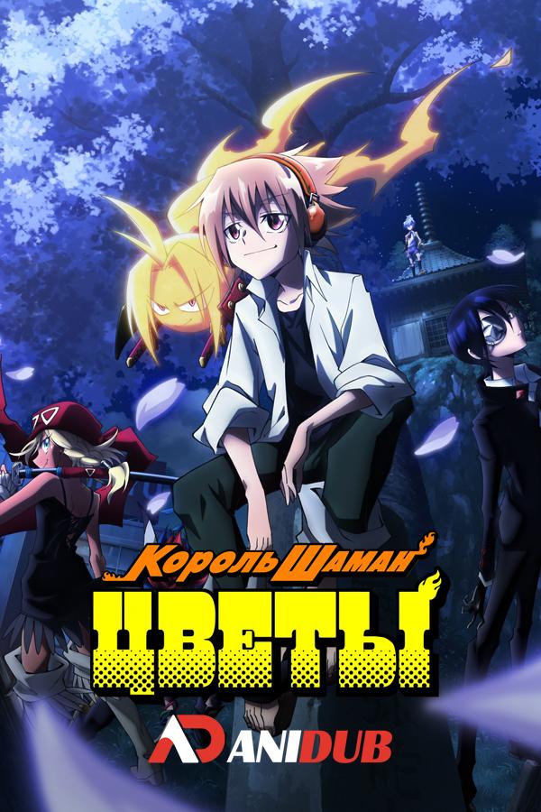Король шаман: Цветы / Shaman King: Flowers [01 из 13]